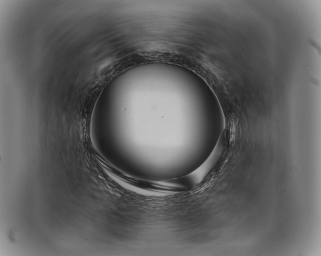 X0000098210965200804241317