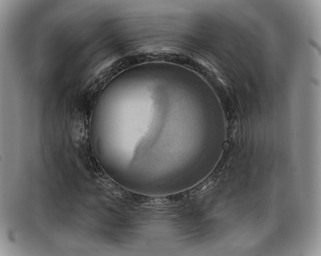 X0000098210966200804241317