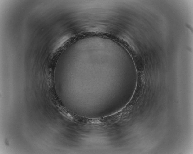 X0000098210968200804241317