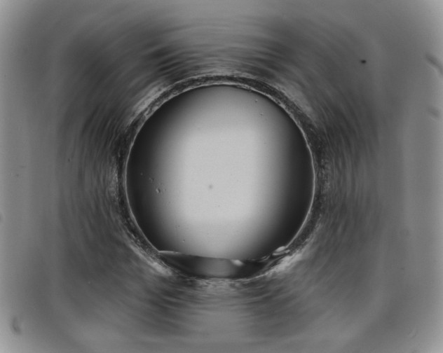 X0000098210969200804241317