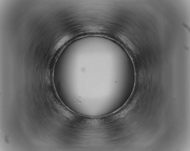 X0000098210970200804241317