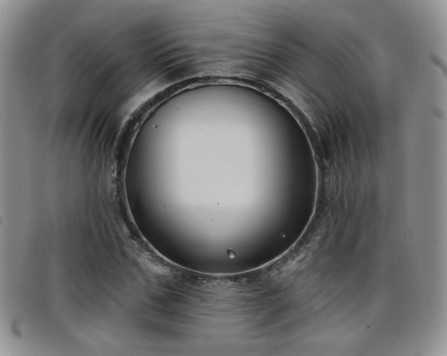 X0000098210971200804241317