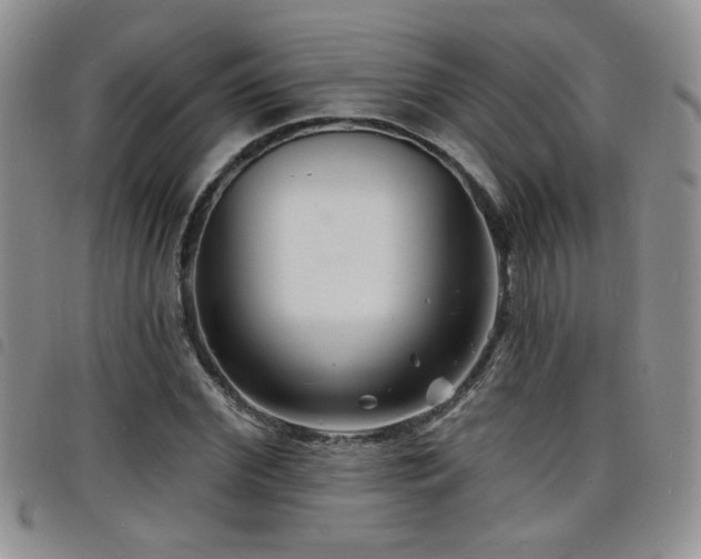 X0000098210972200804241317