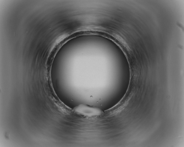 X0000098210974200804241317