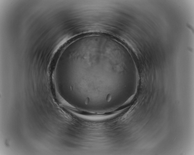 X0000098210975200804241317