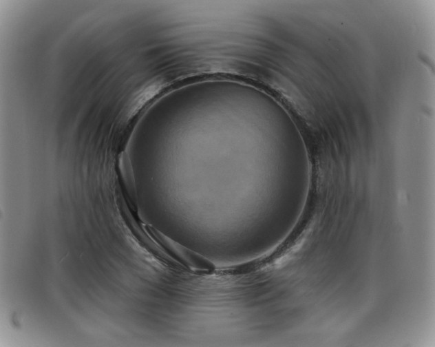 X0000098210977200804241317