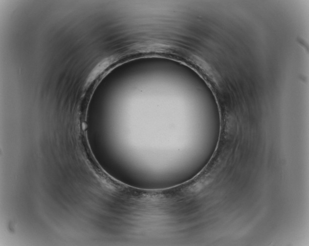 X0000098210978200804241317