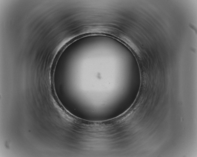 X0000098210980200804241317