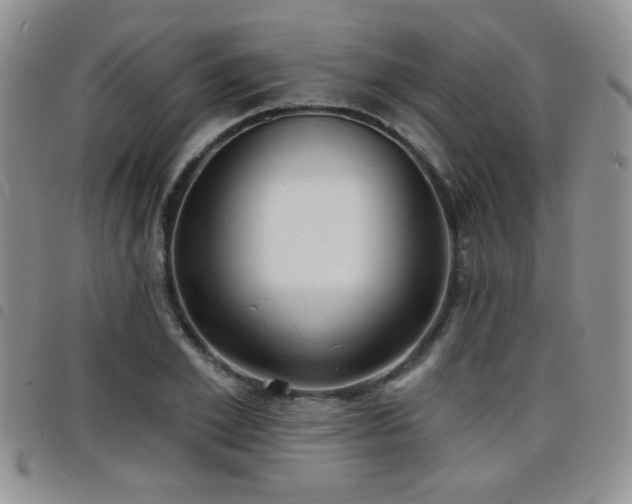 X0000098210981200804241317