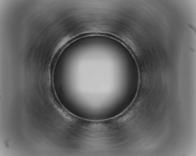 X0000098210982200804241317