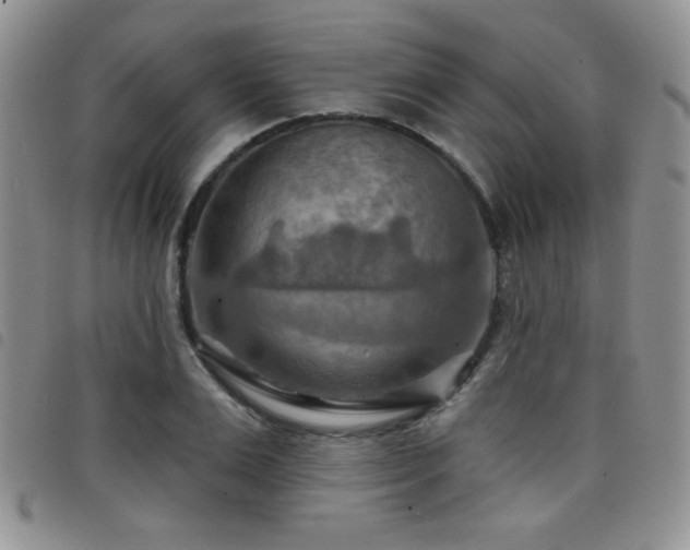 X0000098210983200804241317
