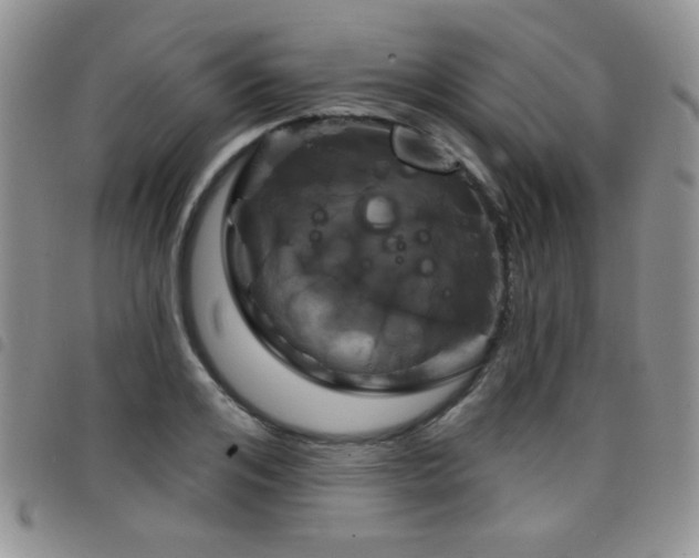 X0000098210984200804241317