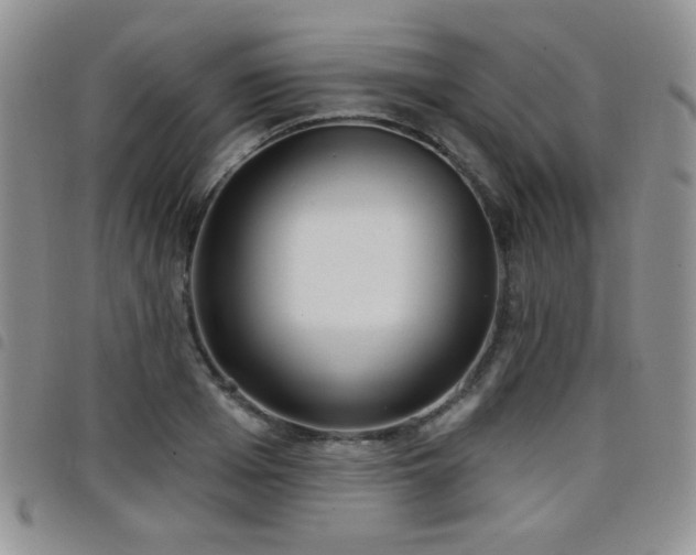 X0000098210985200804241317