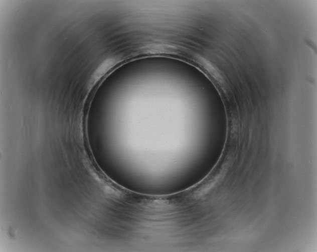 X0000098210986200804241317