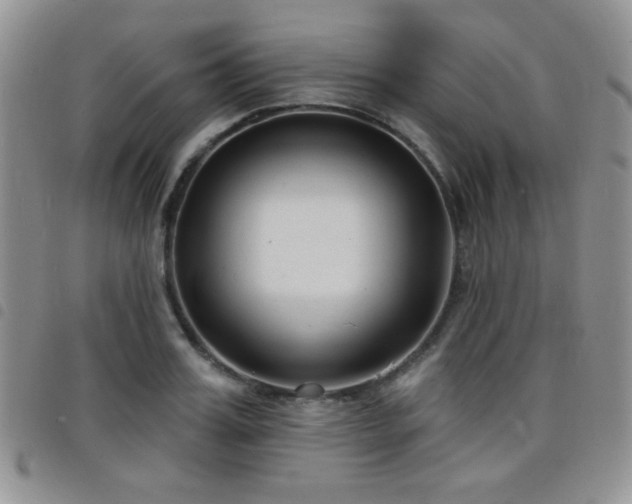 X0000098210987200804241317