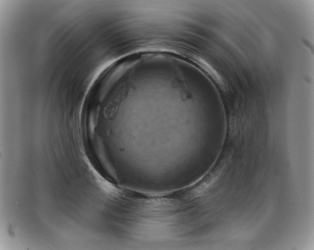 X0000098210988200804241317
