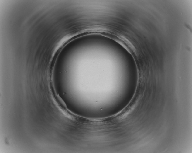 X0000098210989200804241317