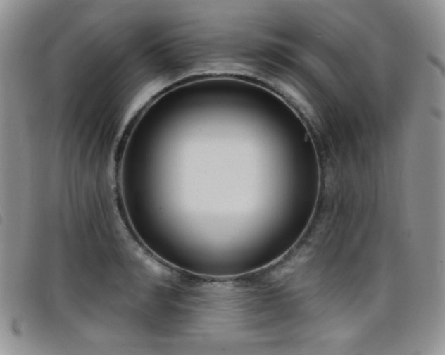 X0000098210990200804241317