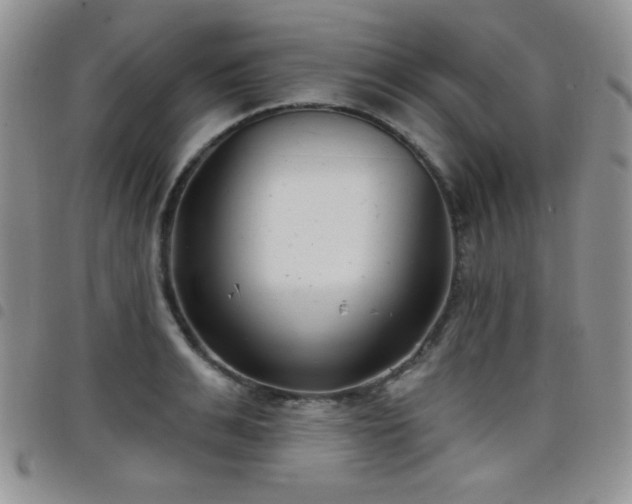 X0000098210991200804241317