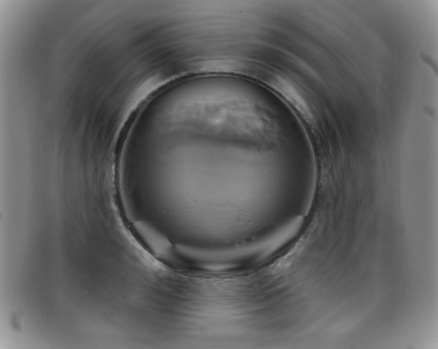 X0000098210992200804241317