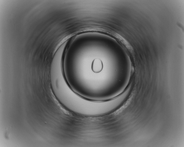 X0000098210993200804241317