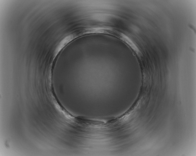 X0000098210994200804241317