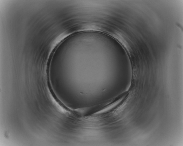 X0000098210995200804241317