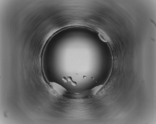 X0000098210996200804241317