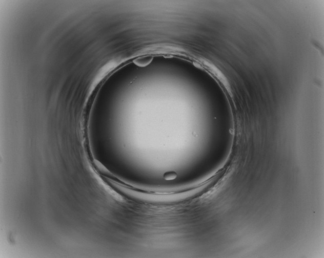 X0000098210997200804241317