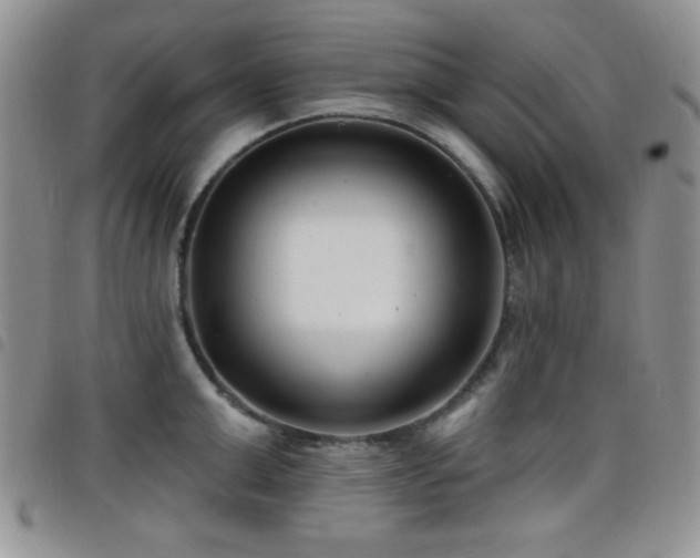 X0000098210999200804241317
