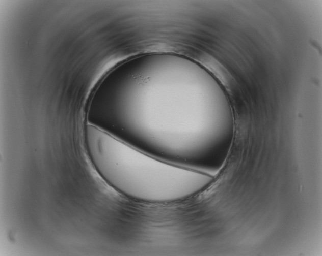 X0000098211000200804241317