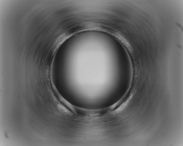 X0000098211001200804241317