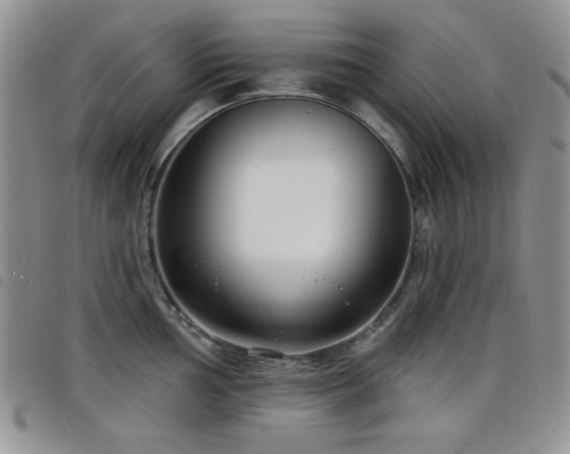 X0000098211002200804241317