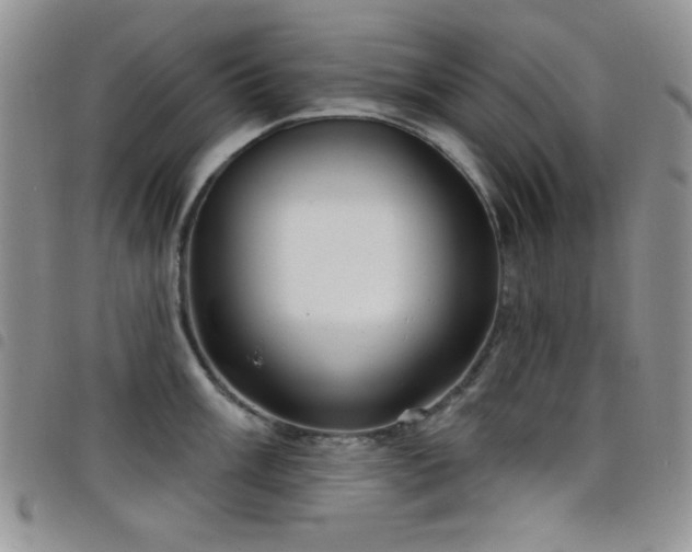 X0000098211003200804241317