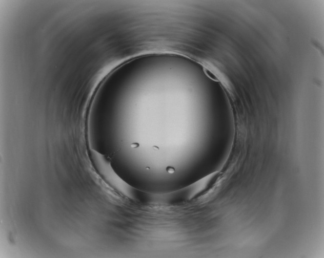 X0000098211004200804241316