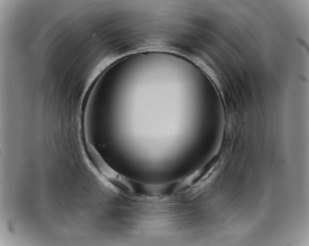 X0000098211005200804241316