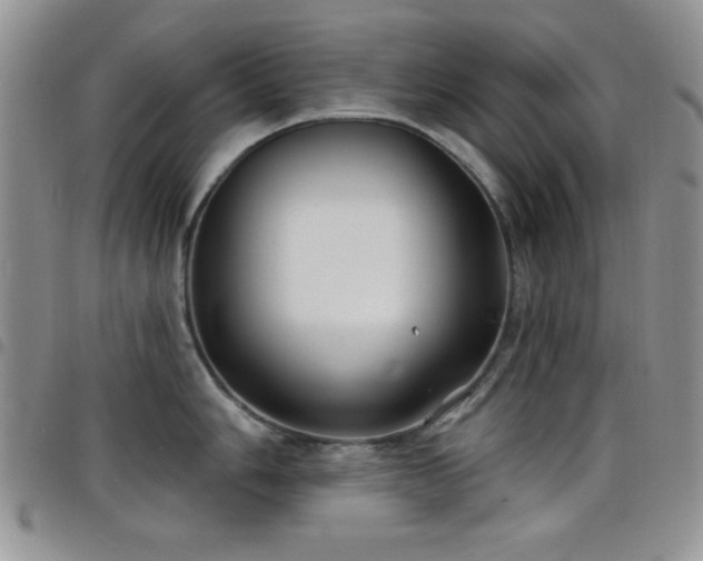 X0000098211006200804241316