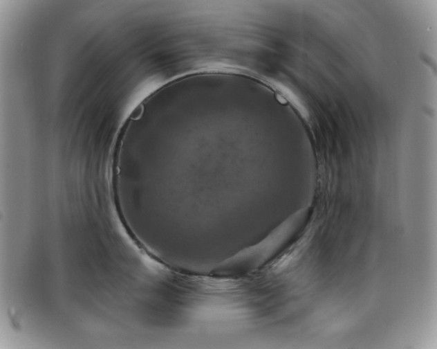 X0000098211007200804241316