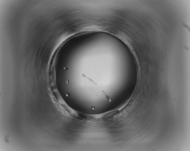 X0000098211008200804241316