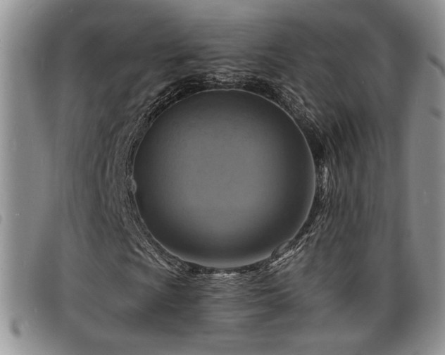 X0000098211009200804241316