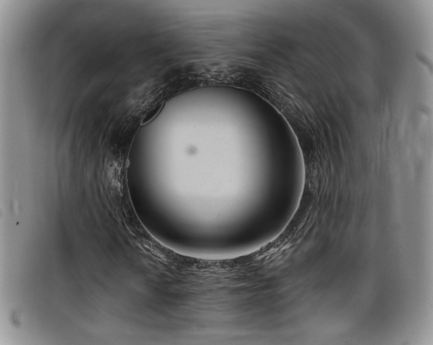 X0000098211010200804241316