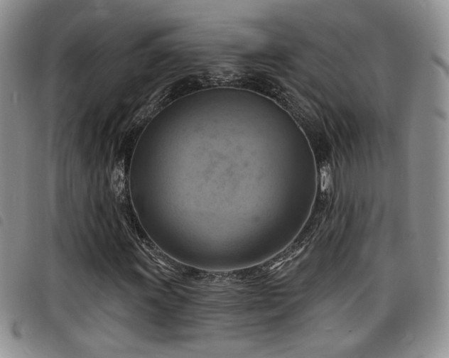 X0000098211011200804241316