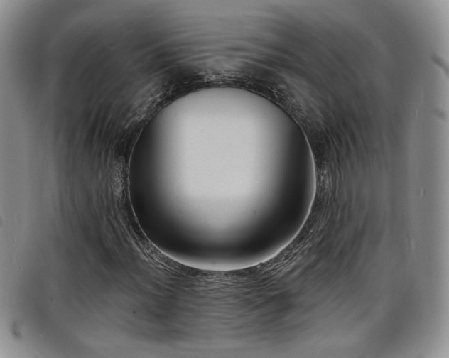 X0000098211012200804241316