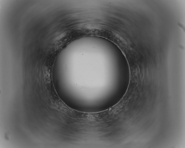 X0000098211013200804241316