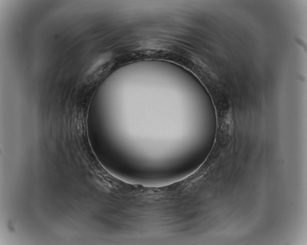 X0000098211014200804241316