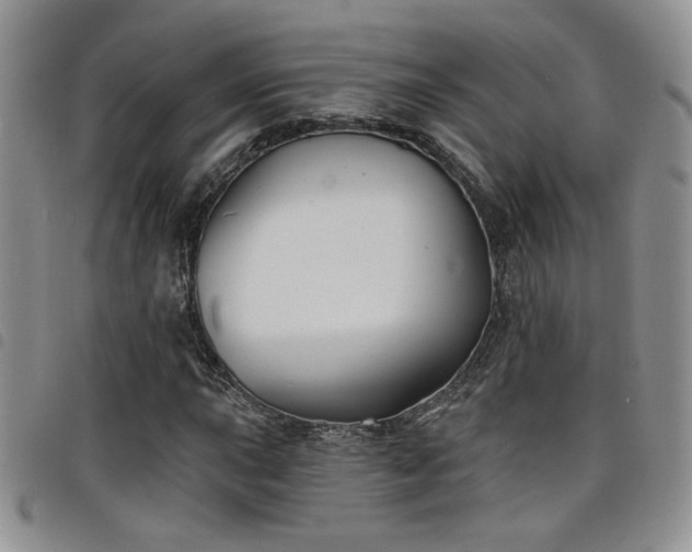 X0000098211015200804241316