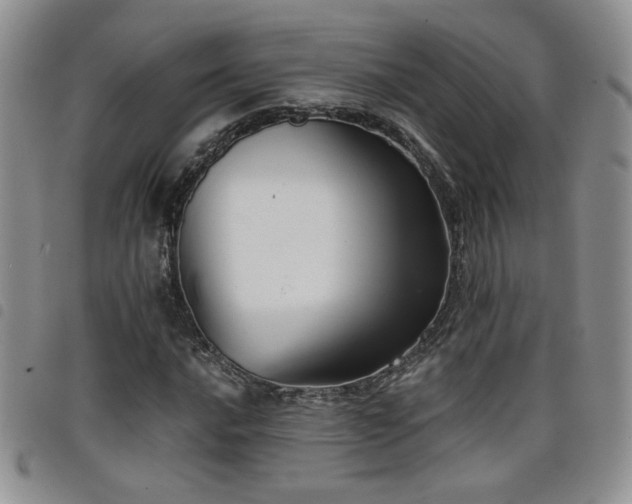 X0000098211016200804241316