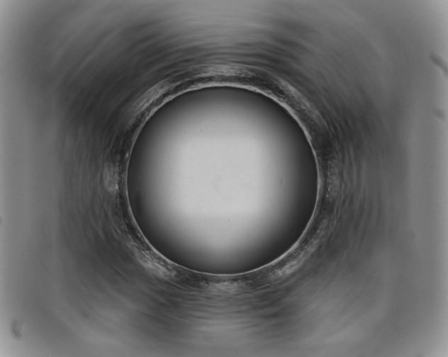 X0000098211017200804241316