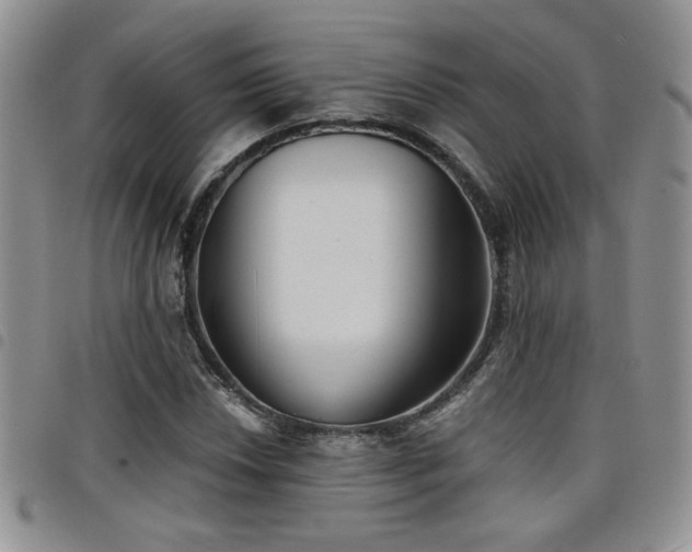 X0000098211018200804241316