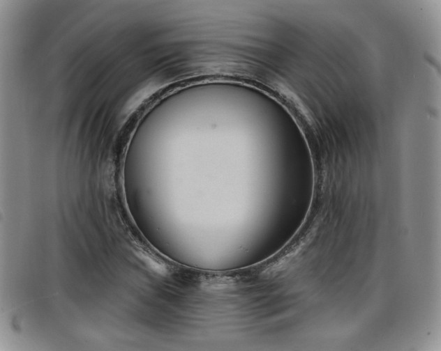 X0000098211019200804241316